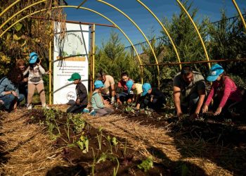 ΔΕΗ και Open Farm προωθούν τη βιώσιμη γεωργία στους μαθητές μέσω του “Carbon Farming Schools”