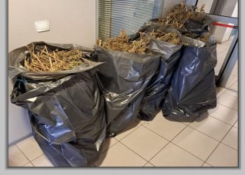 Αποθήκη στον Τύρναβο κρυψώνα για 37 κιλά κάνναβης