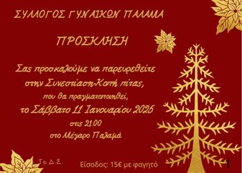 Το Σάββατο 11 Ιανουαρίου η κοπή πίτας του Συλλόγου Γυναικών Παλαμά