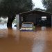 Απίστευτες εικόνες από το πέρασμα της κακοκαιρίας στην Κεφαλονιά -Πλημμύρισαν σπίτια και καλλιέργειες (βίντεο)