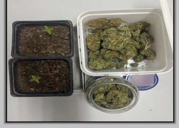 Συνελήφθη ένα άτομο στο Μουζάκι για παράβαση της νομοθεσίας περί ναρκωτικών
