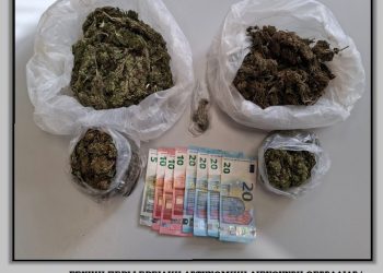 Συντονισμένες αστυνομικές επιχειρήσεις πραγματοποιήθηκαν στη Θεσσαλία, στο πλαίσιο των οποίων συνελήφθησαν 19 άτομα