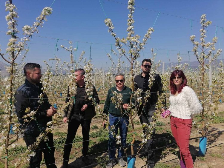 Ο Αντιπεριφερειάρχης Πρωτογενούς Τομέα και Αγροτικής Οικονομίας στις παγετόπληκτες περιοχές