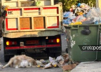 Υγειονομική βόμβα από ασυνείδητους – Πέταξαν ψόφιο πρόβατο σε κάδο απορριμμάτων