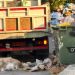 Υγειονομική βόμβα από ασυνείδητους – Πέταξαν ψόφιο πρόβατο σε κάδο απορριμμάτων
