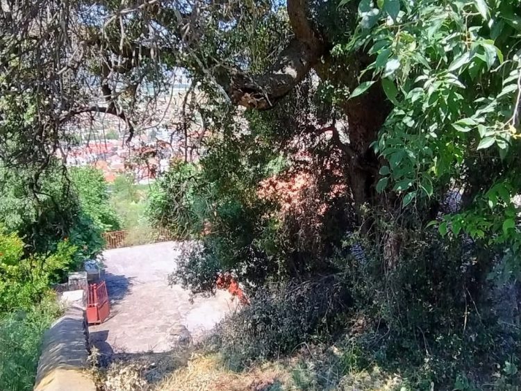 Έκλεψαν την καμπάνα από το εξωκλήσι της Αγίας Τριάδας στο Γριζάνο