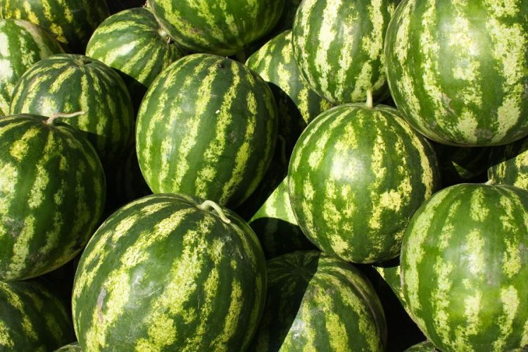 Δροσίσου με ζουμερά καρπούζια από το Μίνι Μάρκετ Τσιούφη στη Φαρκαδόνα!