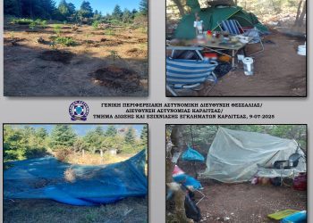 Εντοπίστηκε φυτεία δενδρυλλίων κάνναβης σε δασώδη δύσβατη περιοχή του νομού Καρδίτσας