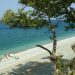 H παραλία Μονόπετρο στην Κουτσουπιά