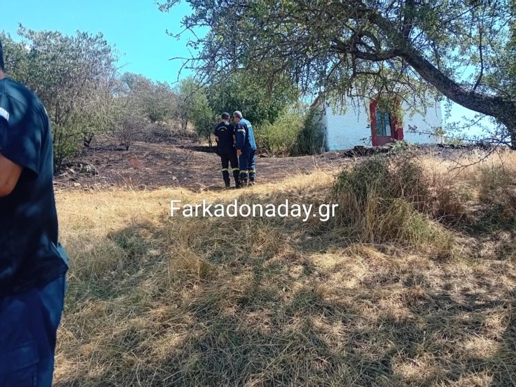 Φωτιά ανάμεσα σε Φαρκαδόνα και Παναγίτσα – Αποφεύχθηκαν τα χειρότερα!!