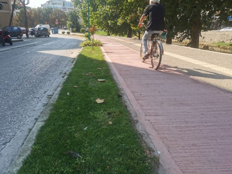 Παραποτάμια περιποίηση για το πράσινο στα Τρίκαλα  20/08/2025