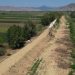 Με εντατικό ρυθμό δηλώνει  η Περιφέρεια πως προχωρούν  οι εργασίες αποκατάστασης της πεδινής κοίτης του ποταμού Καλέντζη