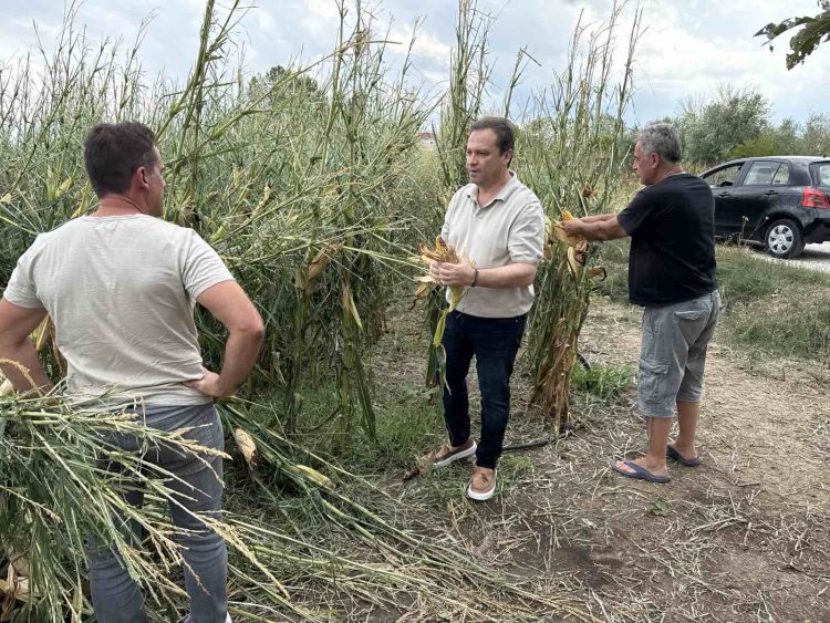 Αυτοψία Λιούτα στις πληγείσες από τη χαλαζόπτωση περιοχές