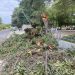Αποκαταστάσεις ζημιών από το μπουρίνι στα Τρίκαλα