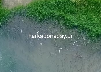 Συναγερμός στον Πηνειό: Νεκρά ψάρια εντοπίστηκαν στην  Νομή