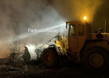 Φωτιά στο πλατανόδασος Οιχαλίας – Άμεση κινητοποίηση Πυροσβεστικής και Δήμου