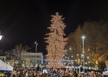 Φωταγωγήθηκε το ψηλότερο φυσικό χριστουγεννιάτικο δέντρο της χώρας στα Τρίκαλα