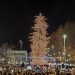 Φωταγωγήθηκε το ψηλότερο φυσικό χριστουγεννιάτικο δέντρο της χώρας στα Τρίκαλα
