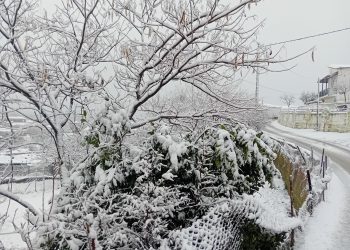 Στα λευκά το Διάσελο