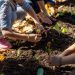 Carbon Farming Schools 2025: ΔΕΗ και Open Farm προωθούν τη βιώσιμη γεωργία στους μαθητές