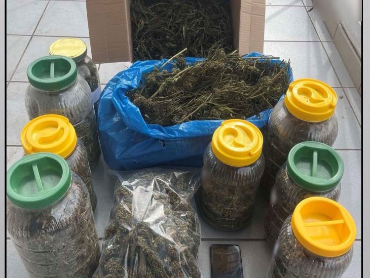 Σύλληψη 59χρονου στα Τρίκαλα με 3 κιλά κάνναβης μετά από έρευνα της Δίωξης Ναρκωτικών