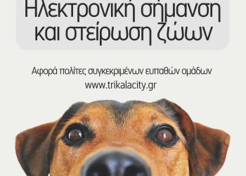 Και το 2026 δωρεάν τσιπάρισμα & στείρωση δεσποζόμενων ζώων από τον Δ. Τρικκαίων – Αιτήσεις και δικαιούχοι