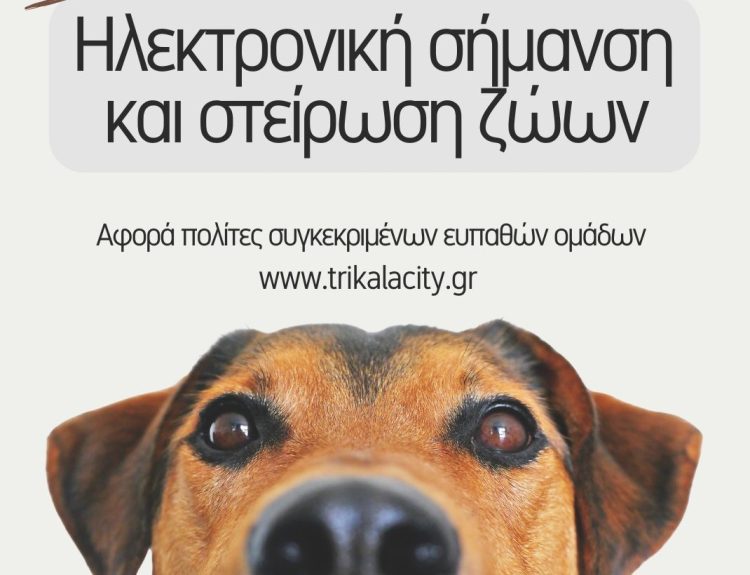 Και το 2026 δωρεάν τσιπάρισμα & στείρωση δεσποζόμενων ζώων από τον Δ. Τρικκαίων – Αιτήσεις και δικαιούχοι