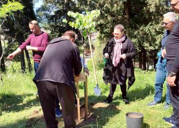 Δενδροφύτευση στον Προφήτη Ηλία από Δήμο και Σαρακατσαναίους