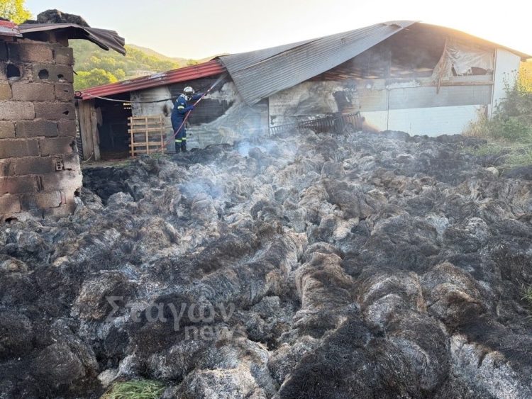 Πυρκαγιά σε στάβλο στο Καστράκι – Καταστράφηκε αποθήκη με ζωοτροφές και άχυρα