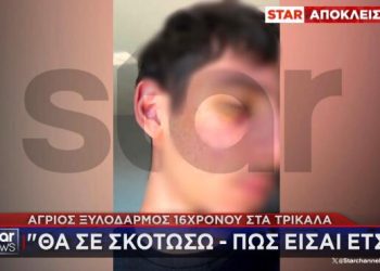 Άγριος ξυλοδαρμός 16χρονου στην Φαρκαδόνα – «Θα σε σκοτώσω, πώς είσαι έτσι;»