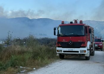 Άμεση κινητοποίηση της Πυροσβεστικής για φωτιά στο Πετρωτό