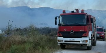 Άμεση κινητοποίηση της Πυροσβεστικής για φωτιά στο Πετρωτό
