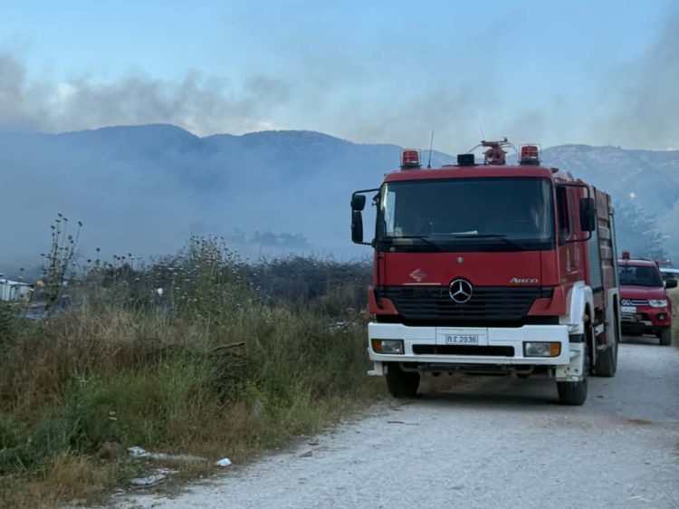 Άμεση κινητοποίηση της Πυροσβεστικής για φωτιά στο Πετρωτό