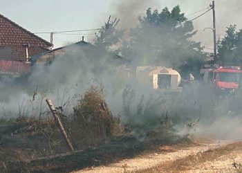 Υπό πλήρη έλεγχο η πυρκαγιά στην περιοχή της Μαραθέας