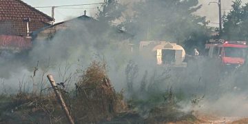 Υπό πλήρη έλεγχο η πυρκαγιά στην περιοχή της Μαραθέας