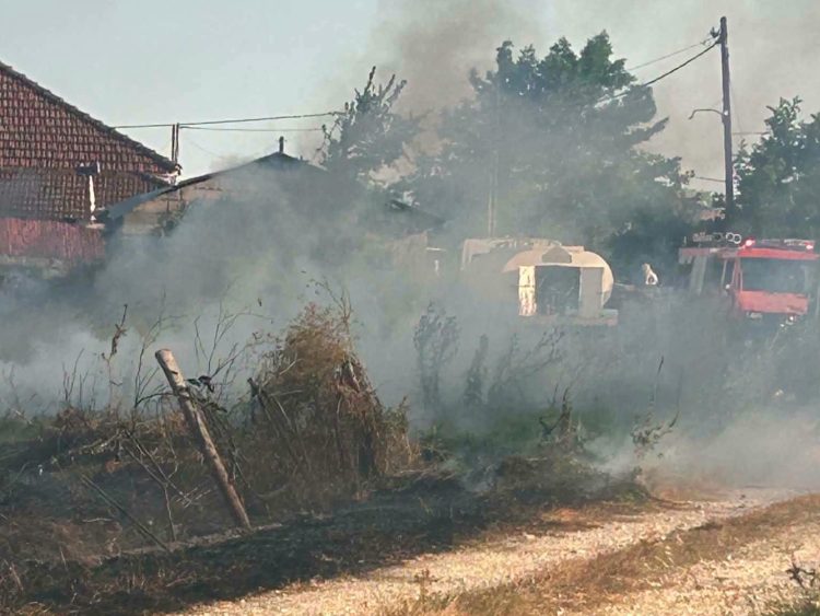 Υπό πλήρη έλεγχο η πυρκαγιά στην περιοχή της Μαραθέας
