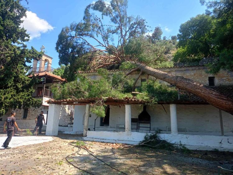 Πτώση δέντρου προκάλεσε ζημιές στην Ιερά Μονή Αγίου Δημητρίου Γριζάνου