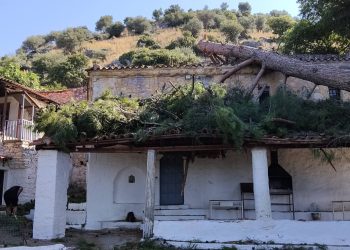 Με τη βοήθεια εθελοντών ξεκίνησε η απομάκρυνση του δέντρου από την Ιερά Μονή Αγίου Δημητρίου Γριζάνου