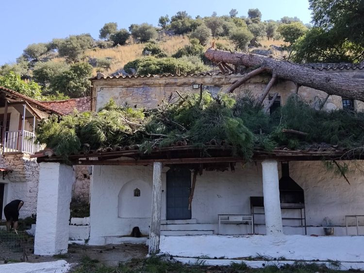 Με τη βοήθεια εθελοντών ξεκίνησε η απομάκρυνση του δέντρου από την Ιερά Μονή Αγίου Δημητρίου Γριζάνου