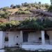 Με τη βοήθεια εθελοντών ξεκίνησε η απομάκρυνση του δέντρου από την Ιερά Μονή Αγίου Δημητρίου Γριζάνου