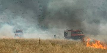 Υπό έλεγχο η φωτιά στη ΒΙΠΑ Φαρκαδόνας
