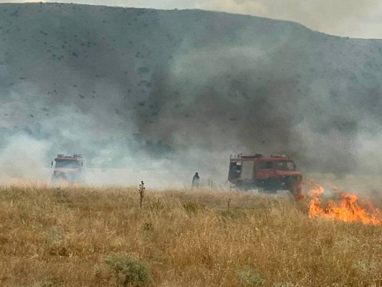 Υπό έλεγχο η φωτιά στη ΒΙΠΑ Φαρκαδόνας