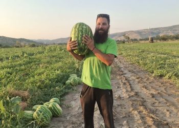 Τα καρπούζια που γίνονται ανάρπαστα στα χωριά του Δήμου Φαρκαδόνας!